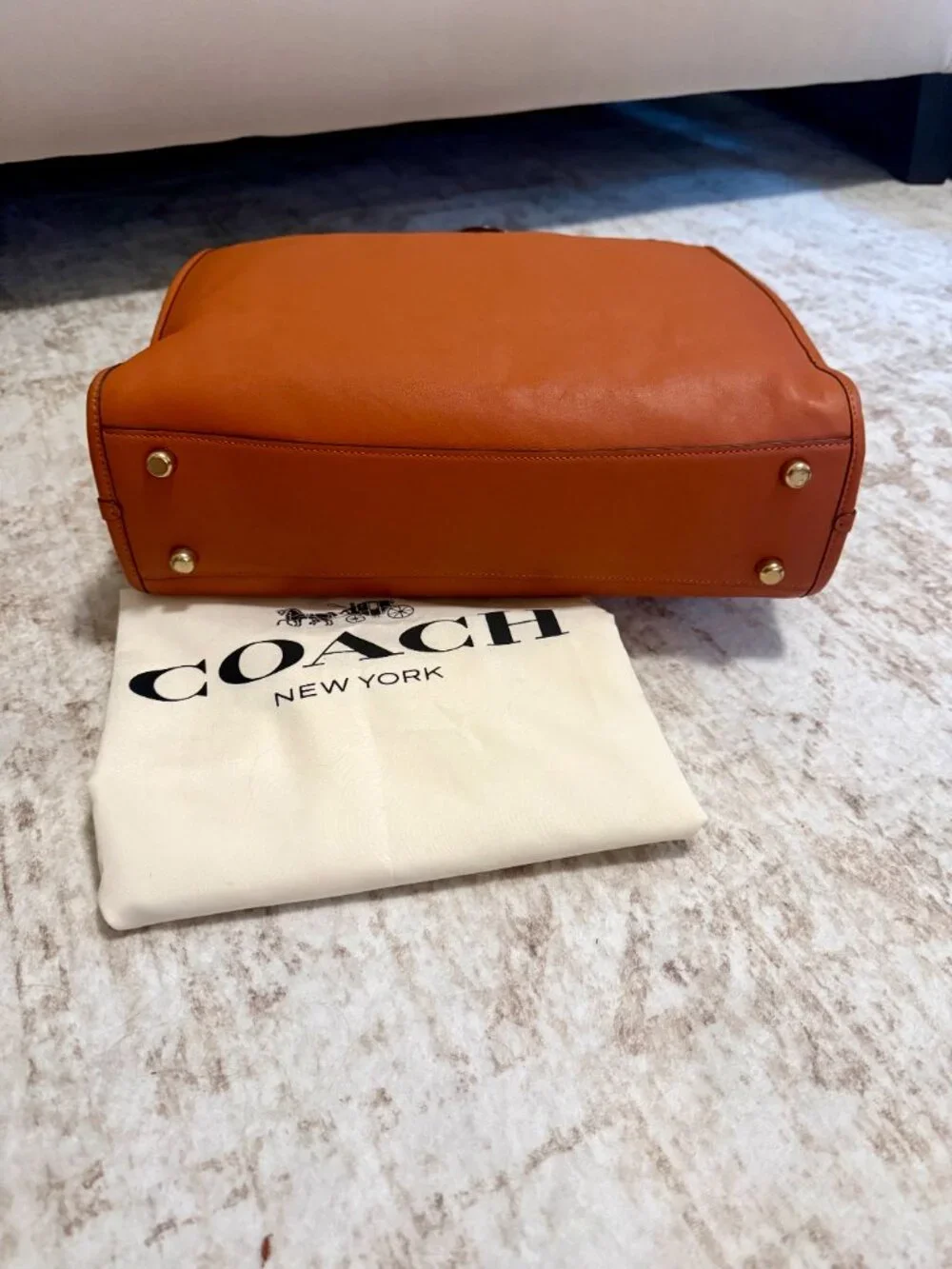 Coach Theo Tote in Canyon